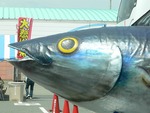でかがつお(◎o◎)