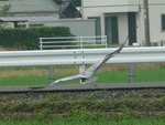 着陸成功