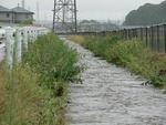 ゲリラ豪雨?
