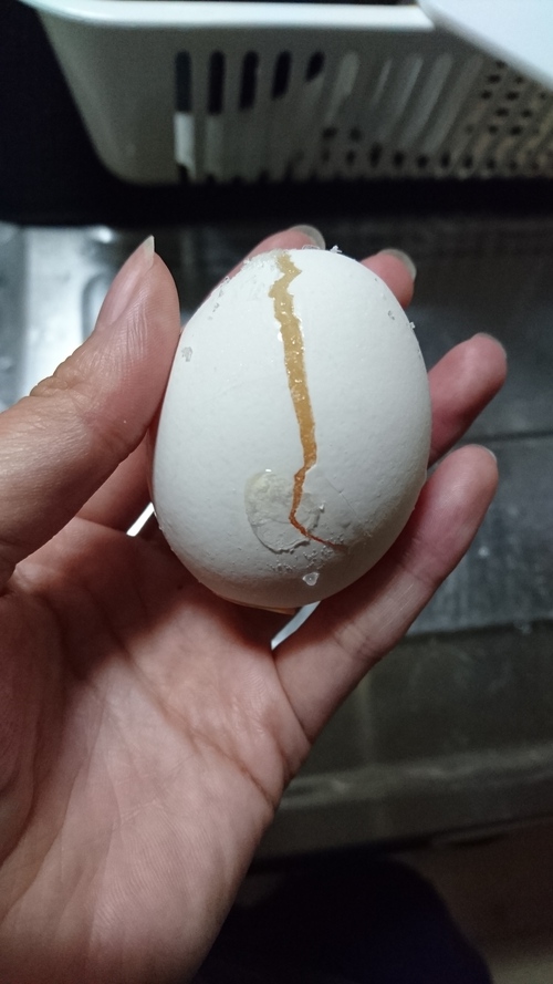 【超簡単】卵を冷凍庫に入れるだけでできる「冷凍卵」で温泉卵を作ってみた！【レシピ】