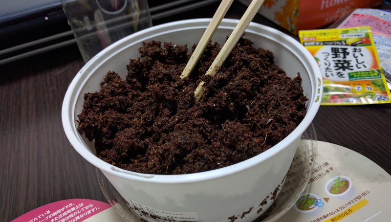 今話題の育てるサラダを実際に育ててみる!~初回 育てるサラダは結構マジで花を育ててるみたい~ 今話題の育てるサラダを実際に育ててみる!~初回 育てるサラダは結構マジで花を育ててるみたい~