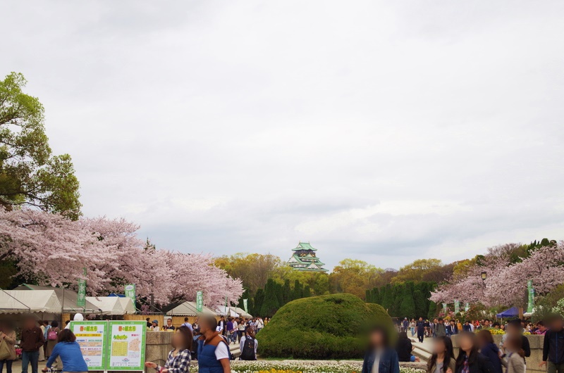桜の名所、日本の名城、大阪城の桜がやっぱり綺麗 桜の名所、日本の名城、大阪城の桜がやっぱり綺麗