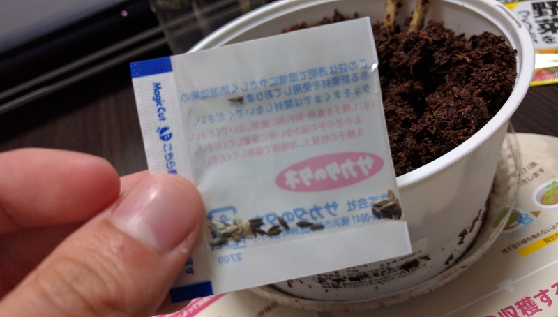 今話題の育てるサラダを実際に育ててみる!~初回 育てるサラダは結構マジで花を育ててるみたい~ 今話題の育てるサラダを実際に育ててみる!~初回 育てるサラダは結構マジで花を育ててるみたい~