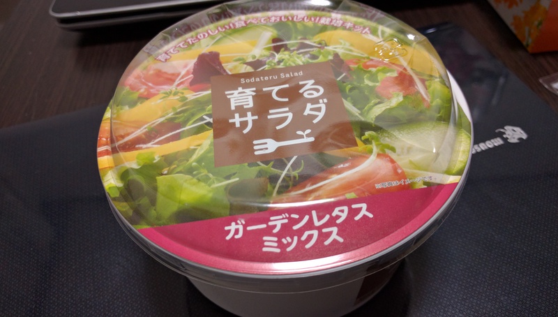 今話題の育てるサラダを実際に育ててみる!~初回 育てるサラダは結構マジで花を育ててるみたい~ 今話題の育てるサラダを実際に育ててみる!~初回 育てるサラダは結構マジで花を育ててるみたい~