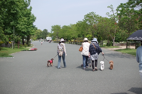 お散歩会　in ガーデンパーク