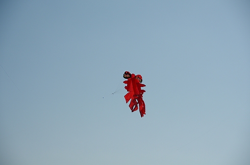 第26回遠州横須賀凧揚げまつり