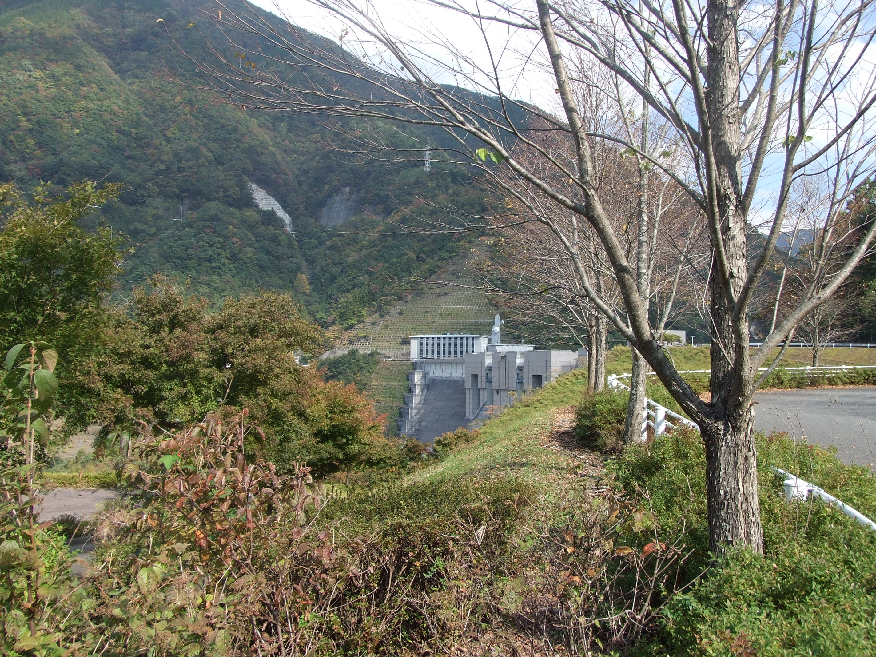 まだ早い