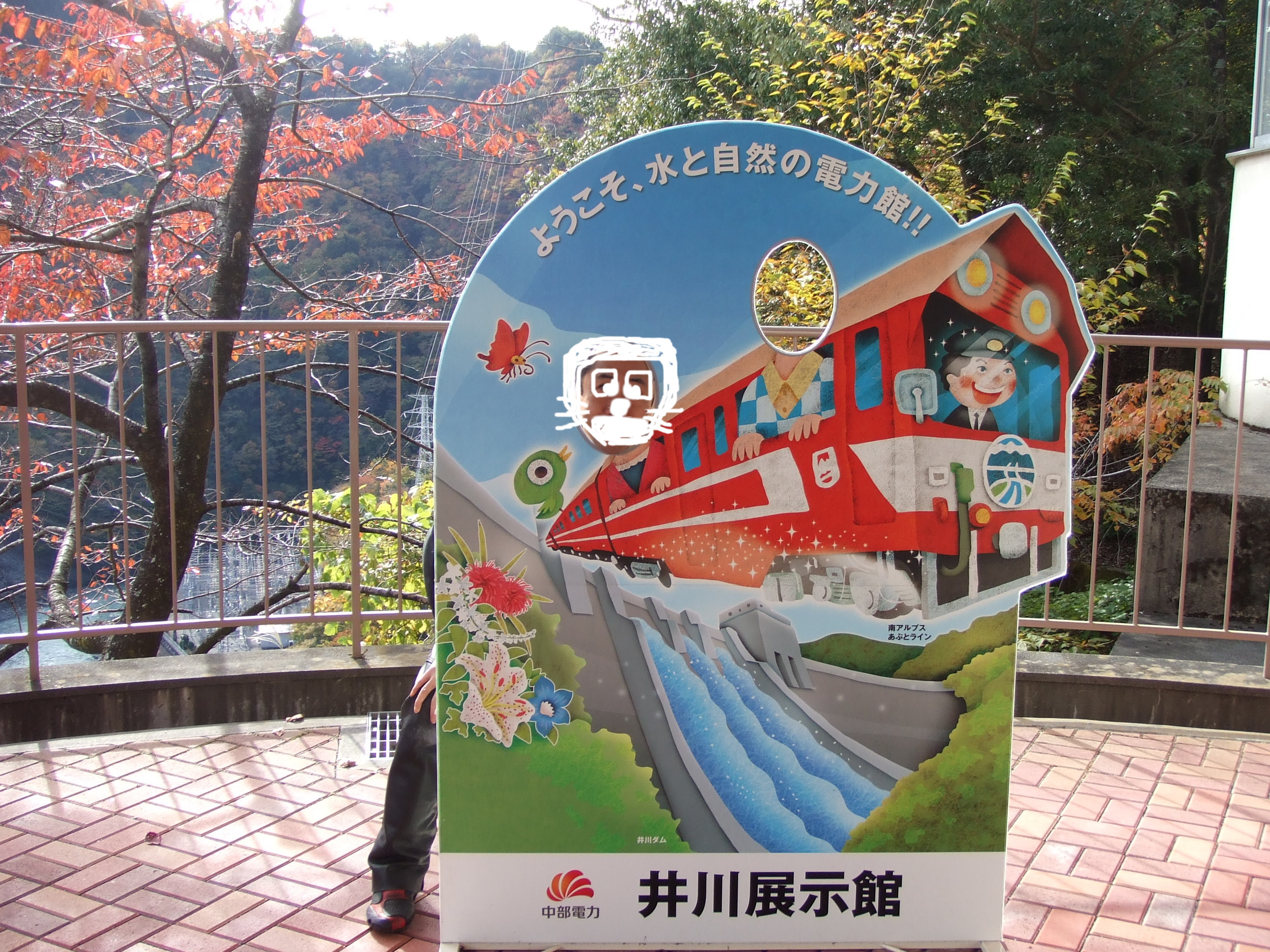 またダム・・・。