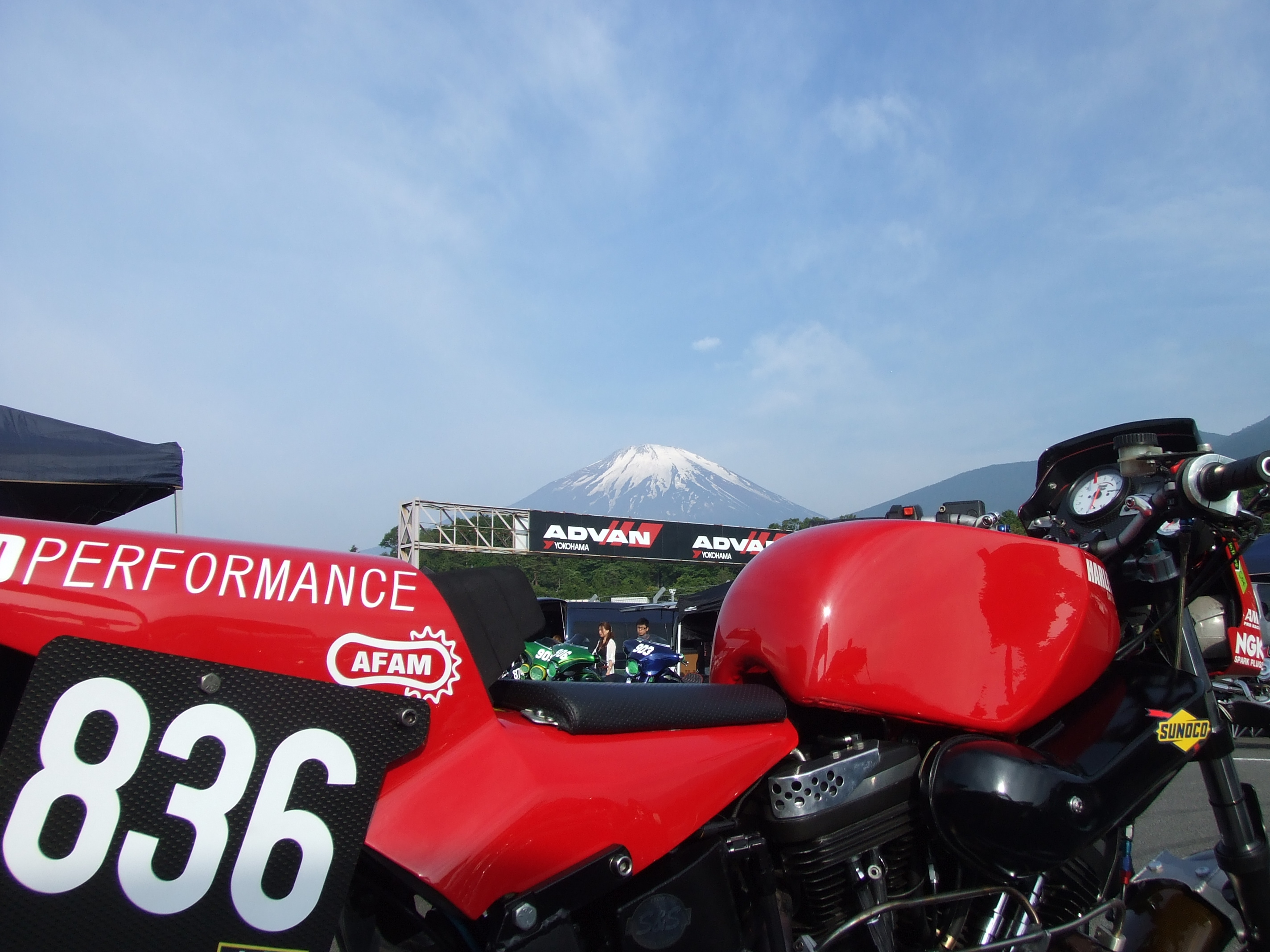鮭卵の米国祭