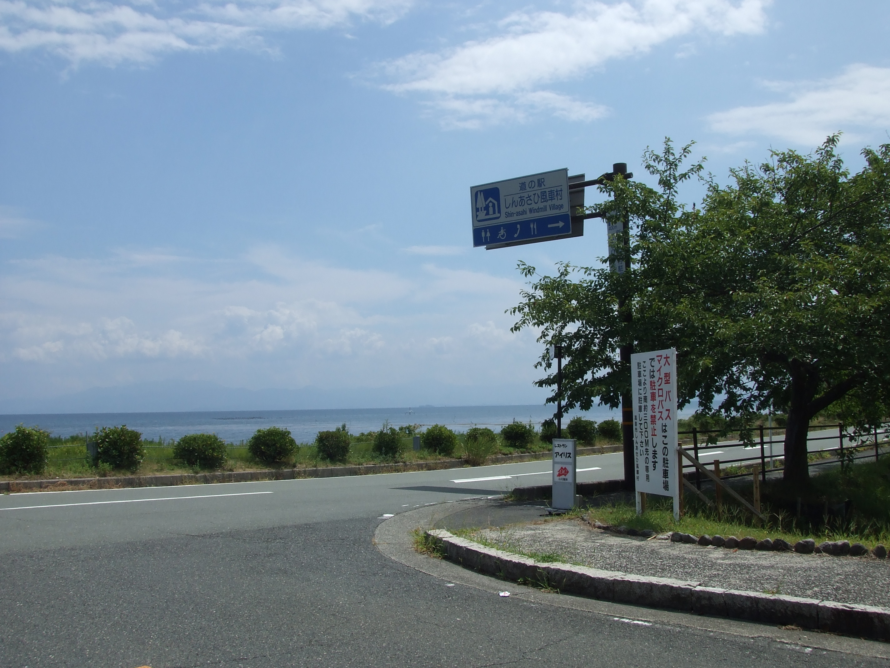 夏の部活