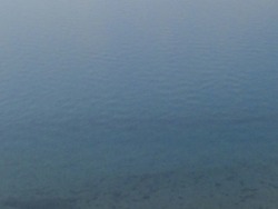 2月22日のおめざ 海も澄んで。