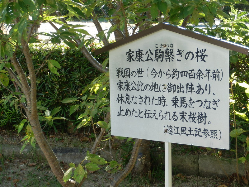 パワースポット巡り③「西楽寺」 袋井市 パワースポット巡り③「西楽寺」 袋井市
