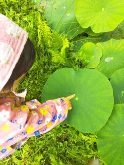 雨も楽しむ!!♪ 雨も楽しむ!!♪