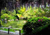 GW！春の京都！城南宮のお庭を楽しむ(５月５日)