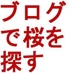 ブログで桜を探す