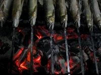 第10回:「即席」「根気」「焼き魚」