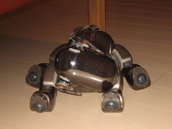 修理なんだけど入院って言いたい