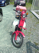 今週の予定です。