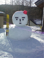 新年会の予定です。