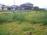 水田崩壊