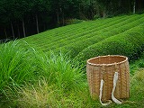 値段が高いのにおいしくもない。それでも残しておきたいもの。