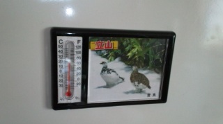 ようやく脱出!