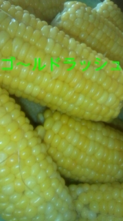 食べ方いろいろ!!