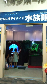 おもしろアイデア水族館