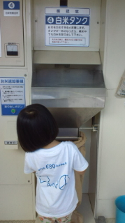 やってみたよ!