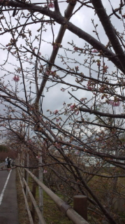 砂丘♪