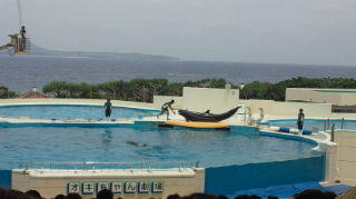 ☆美ら海水族館☆