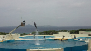 ☆美ら海水族館☆