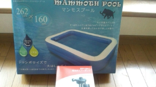 マンモスプール!!