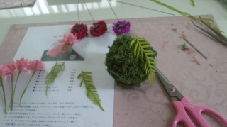 苔玉~♪