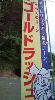 本日から