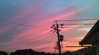 洗濯だぁ〜