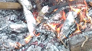 焼き芋〜!!
