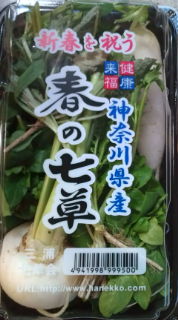 胃を休める日