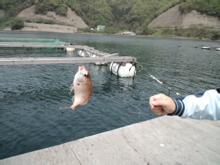 福井へ釣行！！