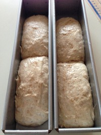 天然酵母のパン作ってみました②
