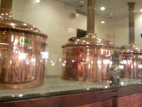 地BEER