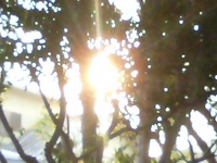 秋の夕陽