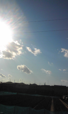 冬空!