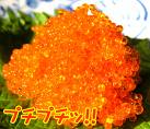ちび?!