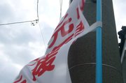 朝の散歩