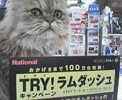 TRY!ラムダッシュキャンペーン