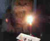 HappyBirthday