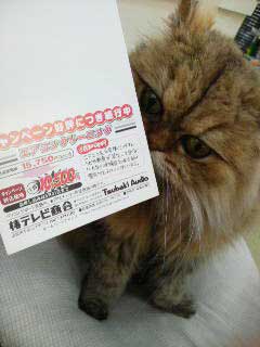 臭いするかにゃ?