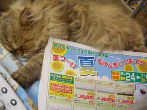 疲れてます