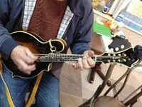 浜松LIVEcafeのギターコレクション４1マンドリン